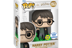 Harry-Potter-Chamber-153-Harry-Floo-FS-3