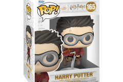 Harry-Potter-165-Quiddich-2