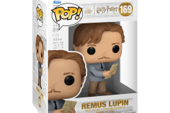 Harry-Potter-169-Lupin-2