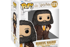 Harry-Potter-171-Hagrid-2