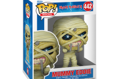 Iron-Maiden-442-Mummy-2