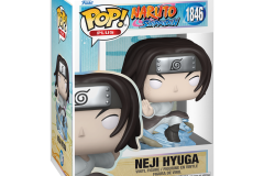 Naruto-1846-Neji-Hyuga-2